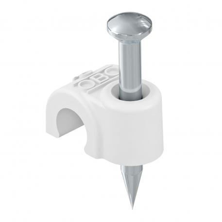 Abraçadeira de prego ISO tipo 2010, branco puro 25 | 10 | 2,0x25 | branco puro; RAL 9010
