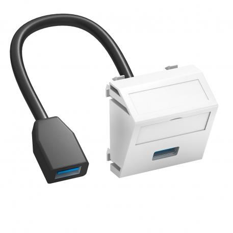 Porta USB 2.0/3.0, 1 módulo, saída inclinada, com cabo de ligação branco puro; RAL 9010